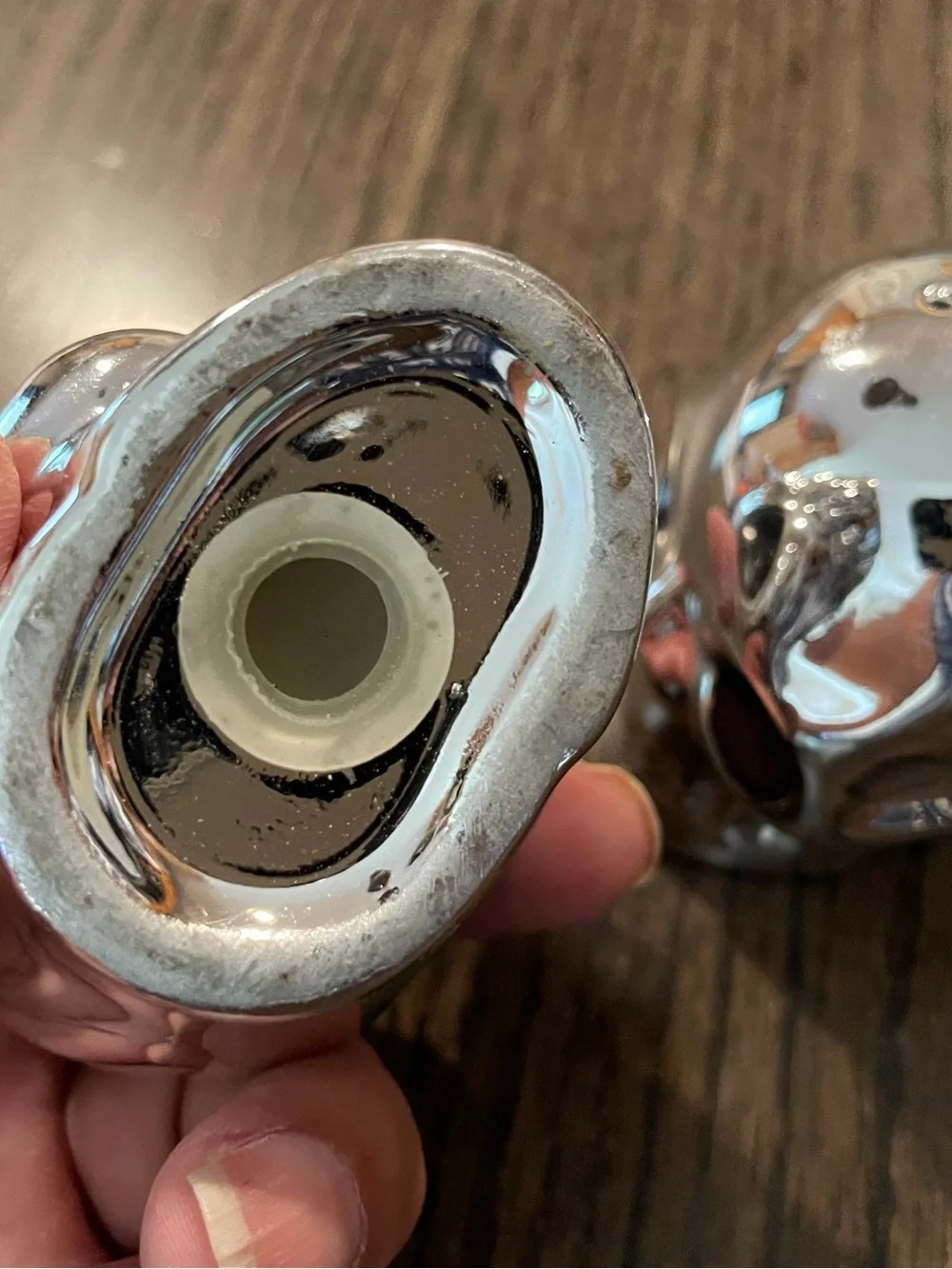 Chrome Skull Salt and Pepper Shakers Set
